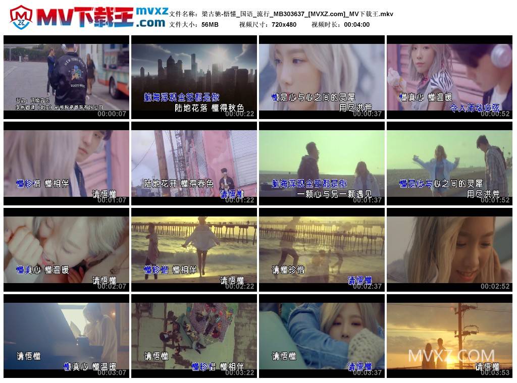 梁古驰-悟懂_国语_流行_MB303637